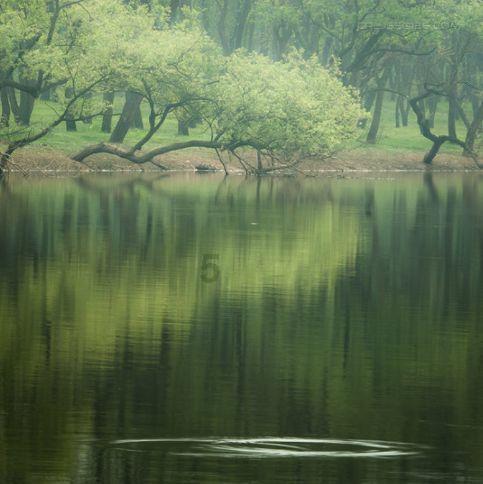 4位主母撑起霍家半边天,郭晶晶带去的“嫁妆”,开启新篇章