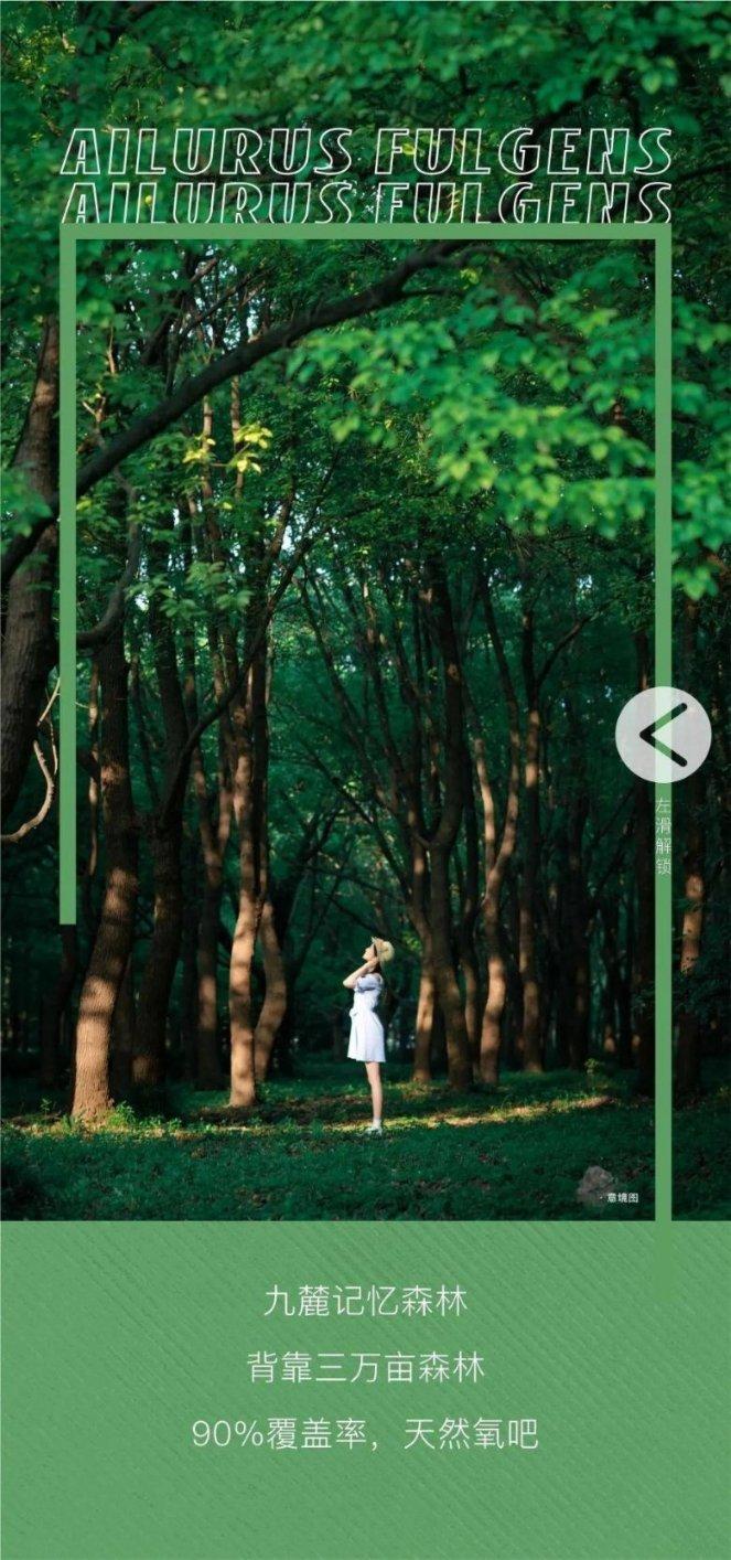 大江大河3：看到杨巡女儿赶超宋引，才懂杨逦直到流产都恨梁思申